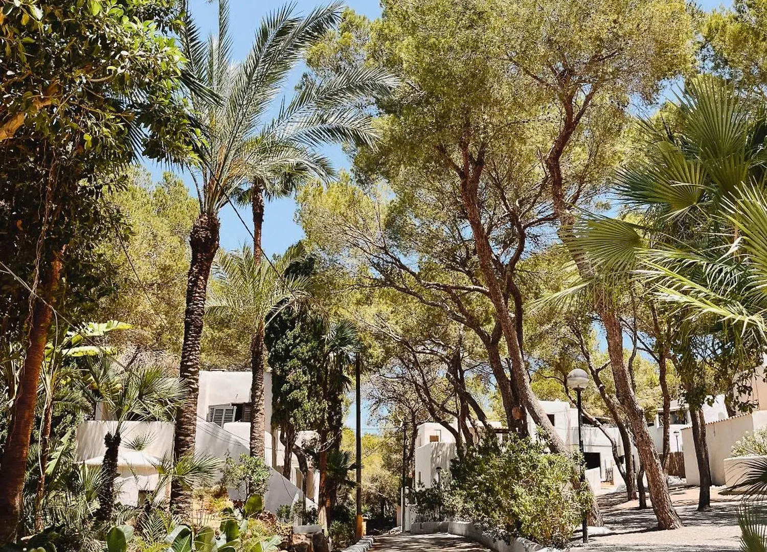 Hotel Fergus Style Punta Arabi Es Cana 4*,  Spanien